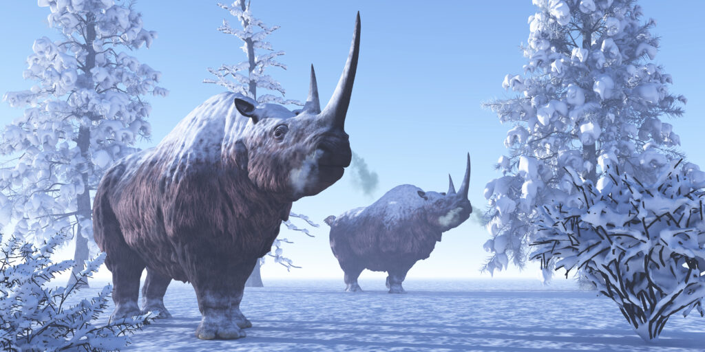 Woolly Rhino